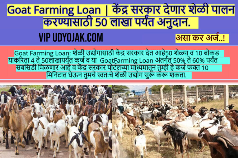 Goat Farming Loan 2024